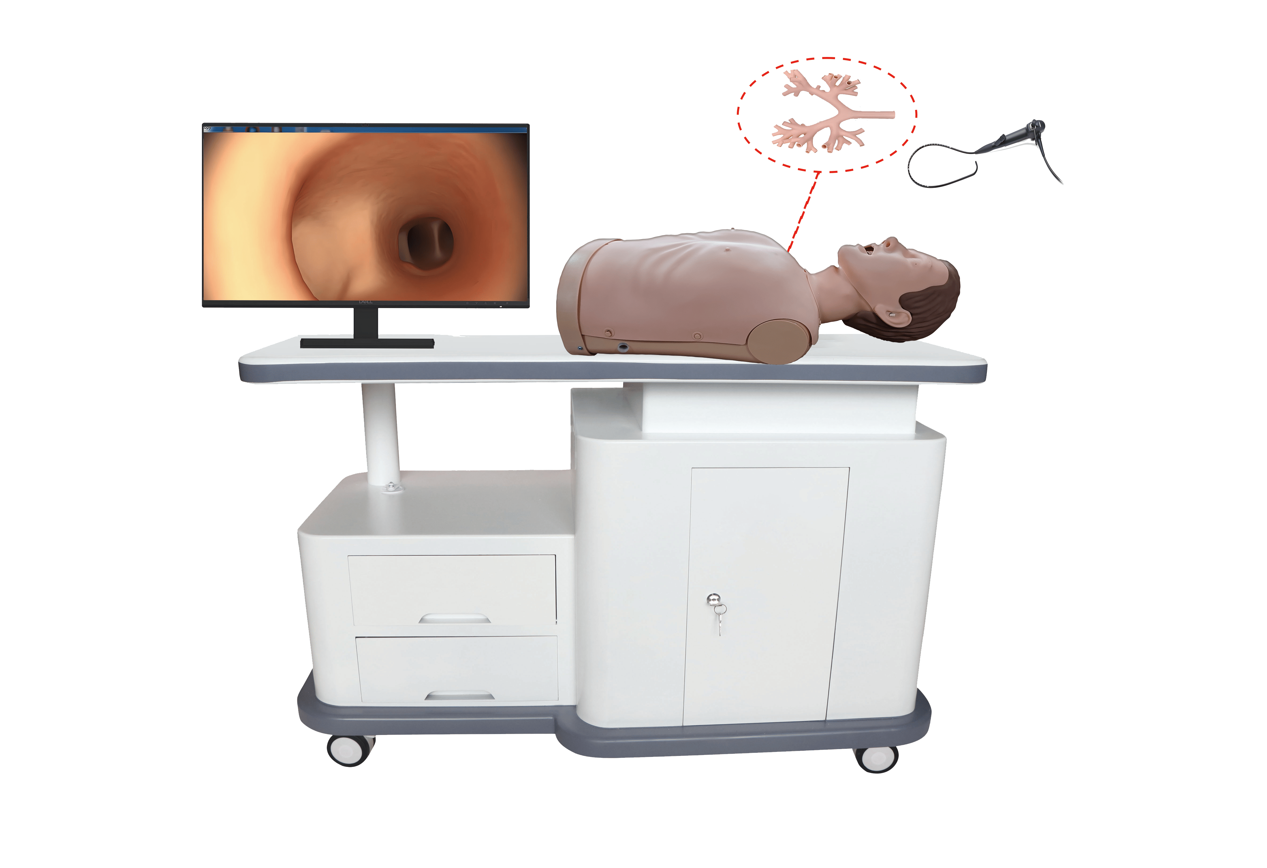 MN216支气管镜训练考核系统